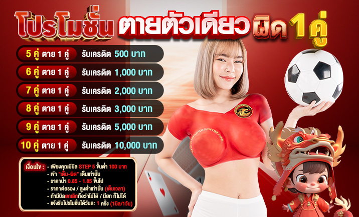 Promotion2